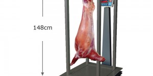 Yıkanabilir Teraziler Hakkında Bilmeniz Gerekenler