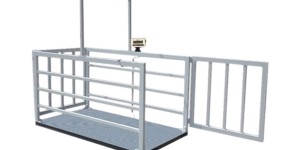 Hayvancılık Terazilerinin Temellerini Anlama