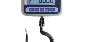 Asma Terazi Alırken Dikkat Edilmesi Gerekenler