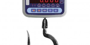 En İyi Balık Tartı Terazisini Seçmek İçin İpuçları