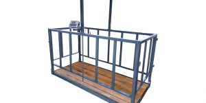 Canlı Hayvan Baskülü Alırken Dikkat Edilmesi Gerekenler