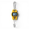 Necklife ADS 300 kg Mini Vinç Kantarı 100 g