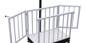 Kuzu Baskülü Nedir?