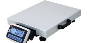 Elektronik Tartı