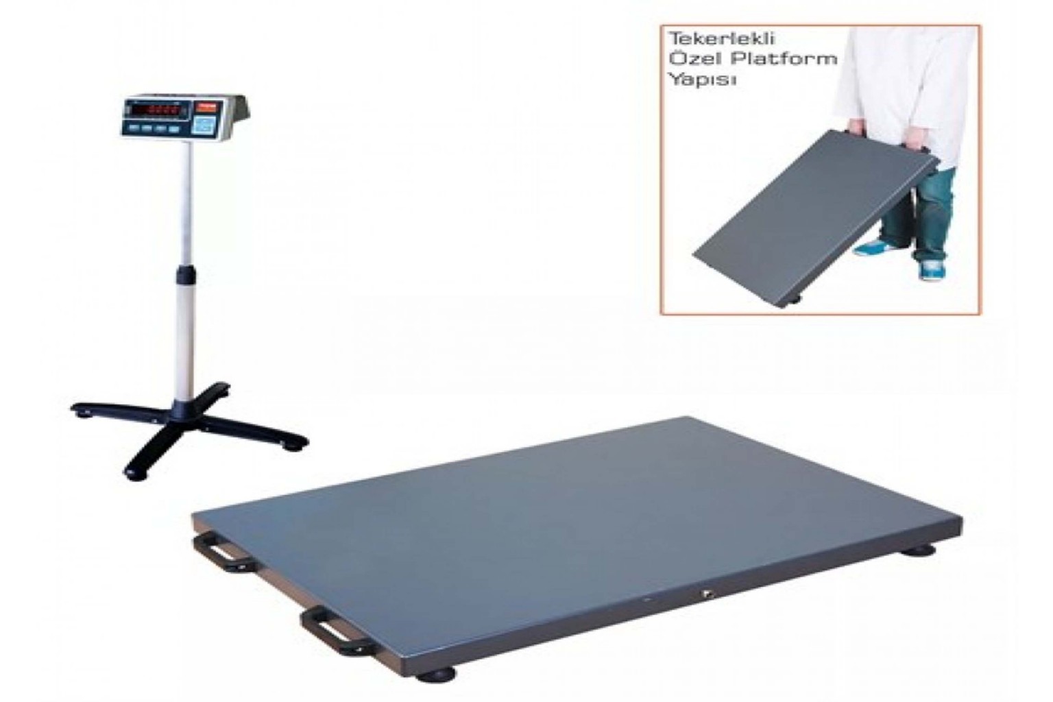 Veteriner Terazileri: Bilmeniz Gereken Her Şey