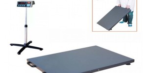 Veteriner Terazileri: Bilmeniz Gereken Her Şey